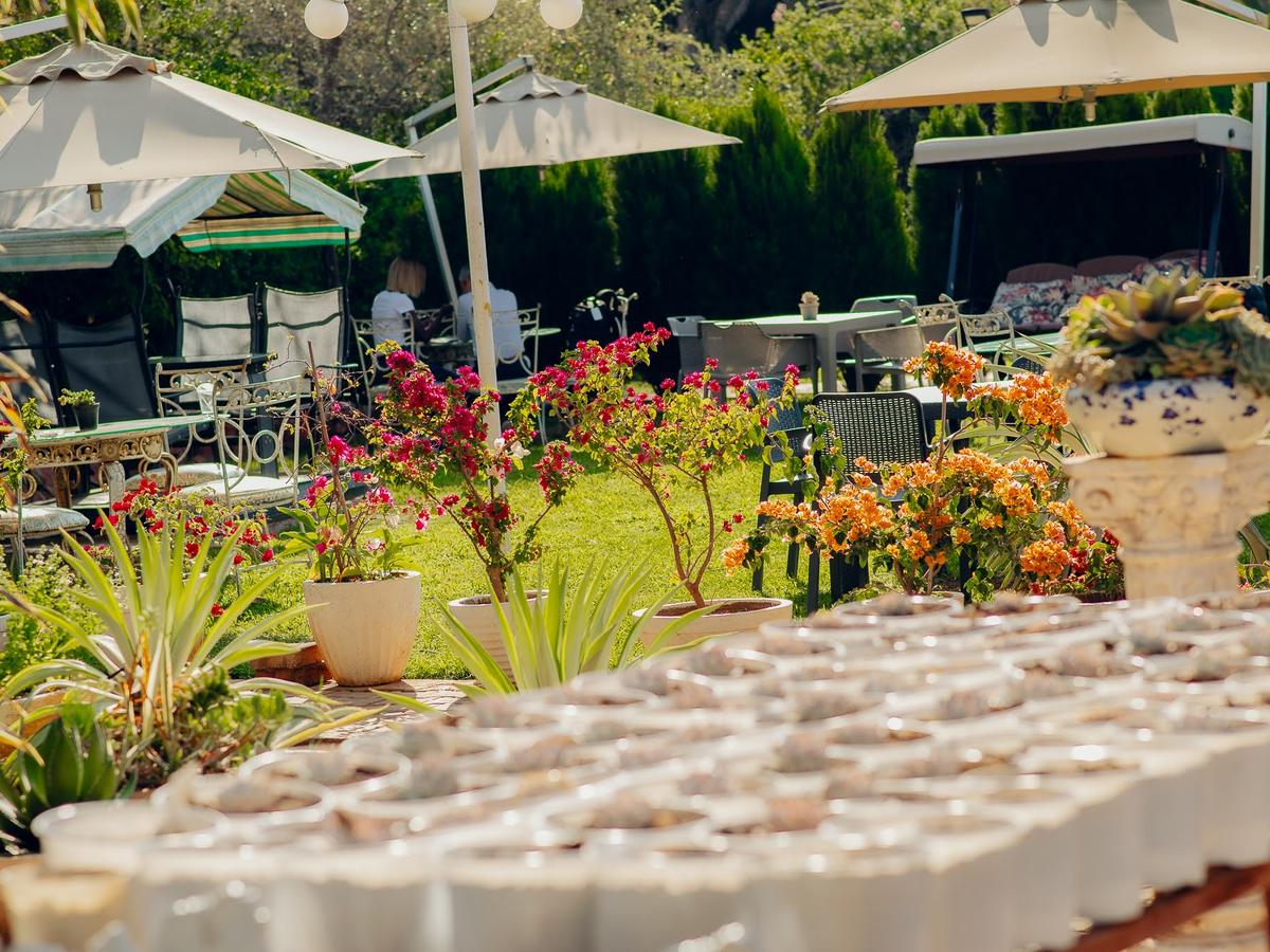 A long table laid with glassware in the garden for an event